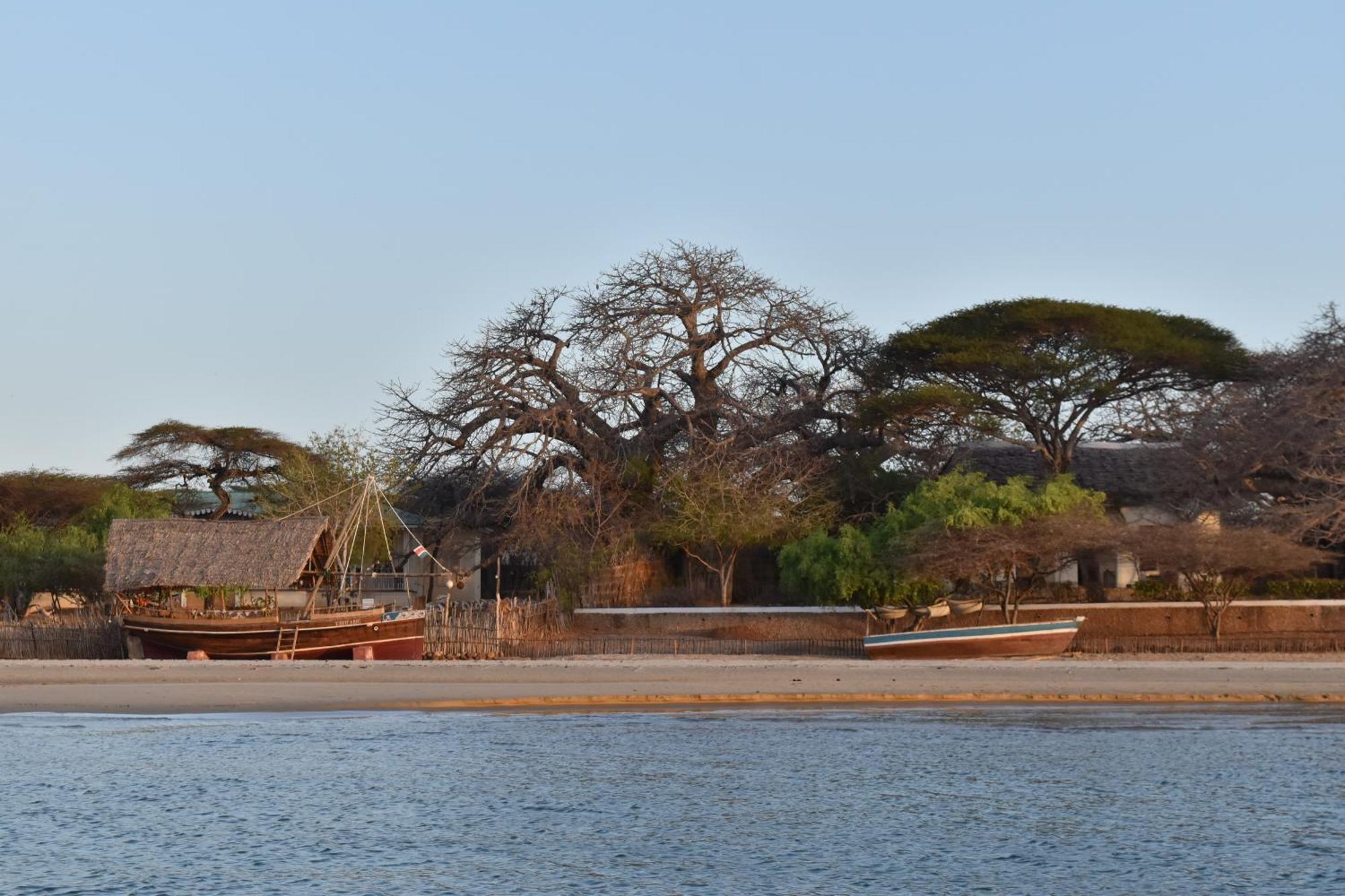 Amu House Hotel Lamu Exterior photo